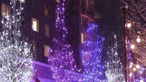 Christmas tree lights during a snow fall Stock Footage 166819326