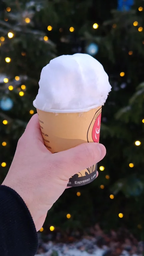 Christmas tree, lights, first snow, ice cream made from snow Stock Footage 323619782