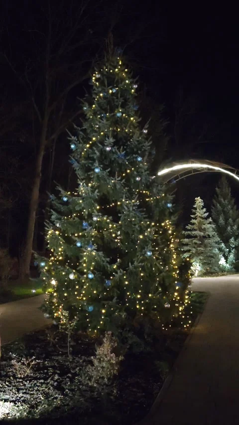 Christmas tree lights flickering 動画素材 324871794