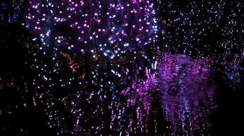 Christmas tree lights Stock Footage 34349068