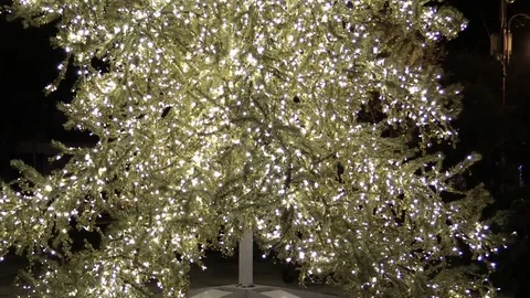 Christmas tree with lights Stock Footage 71624750