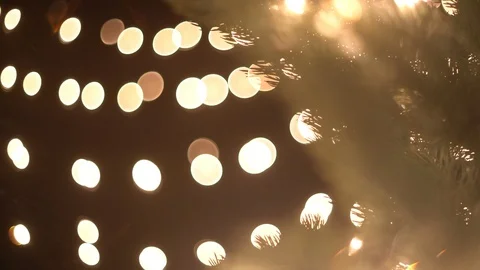 Christmas tree lights Stock Footage 94755750