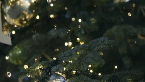 Christmas tree with lights Vidéo 103855315