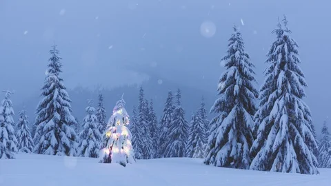 Christmas tree with lights Stock Footage 121883736