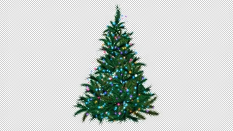 Christmas tree with Lights Stock Footage 143681779