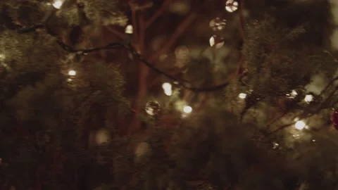 Christmas Tree Lights Stock Footage 172263512