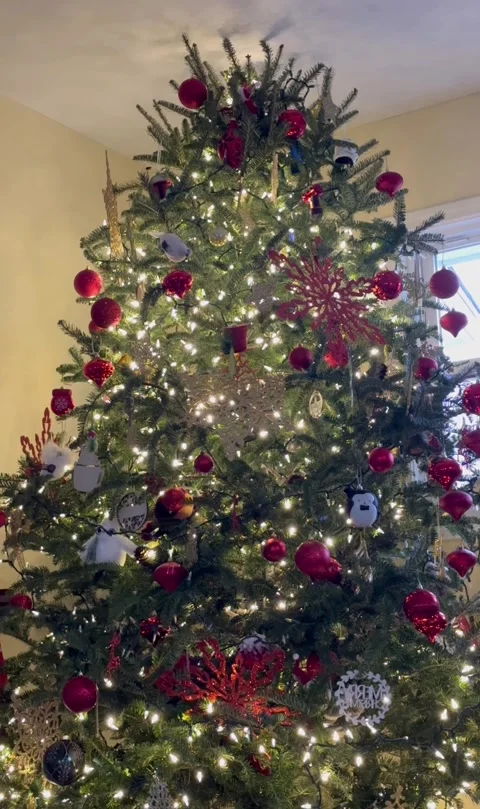 Christmas tree with lights Stock Footage 259997913