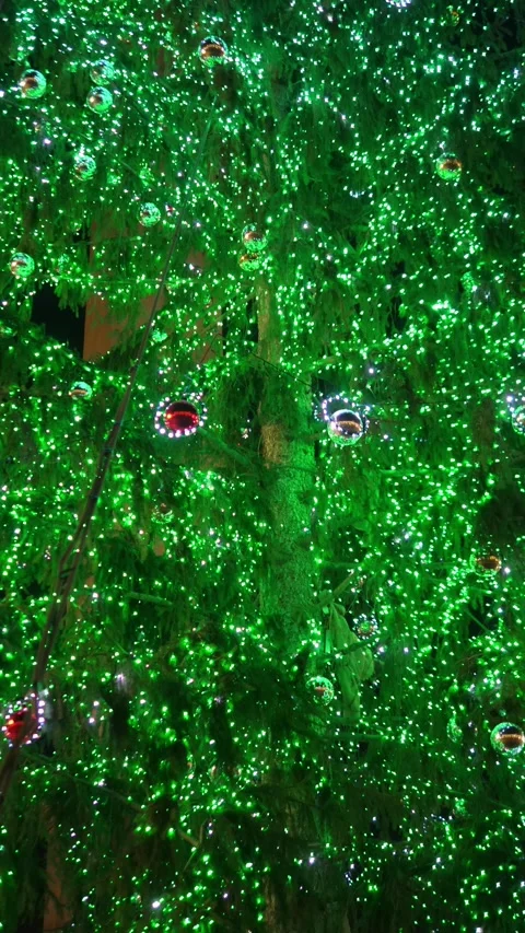 Christmas tree lights glowing at night in St Peter Square Stock-Footage 324506790