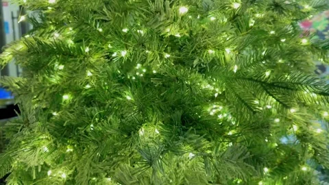 A Christmas tree with lights on it Stock-Footage 270058442