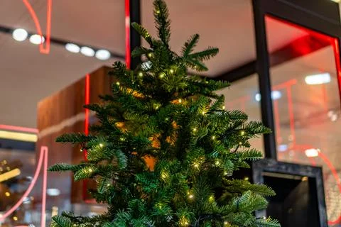 A Christmas tree with lights on it is in front of a window Stock Photos