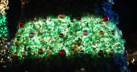Christmas tree lights on massive tree blinking colorful lights Video stock 166662707