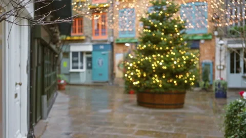 Christmas tree with lights in neal's yard, london, with blurred festive bok.. Stock Footage 305538100