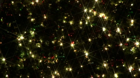 Christmas tree lights at night Stock Footage 298990