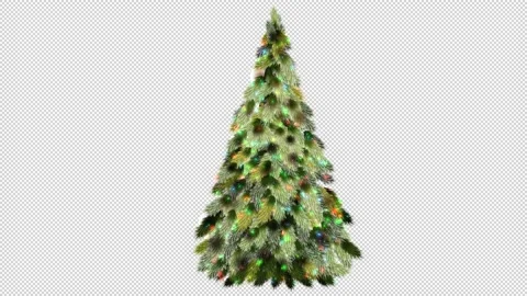 Christmas tree with lights only Stock Footage 144584478