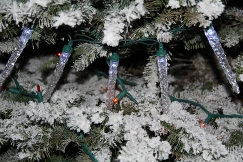 Christmas tree lights Foto stock