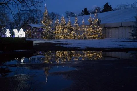 Christmas tree with lights Stock Photos