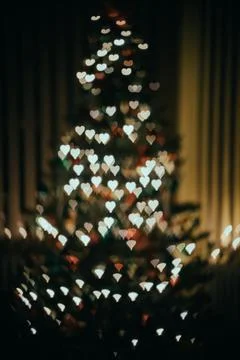 Christmas tree with lights on Stock Photos