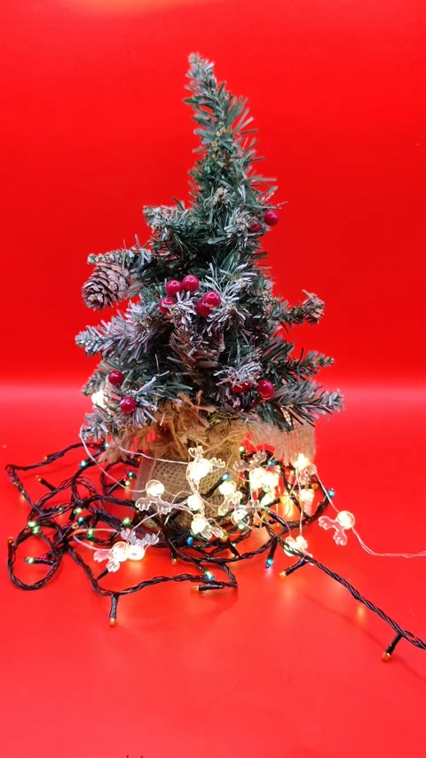 Christmas tree with lights on red background 動画素材 322677306