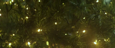 Christmas tree lights sequence 4K anamorphic video Stock Footage 323428241