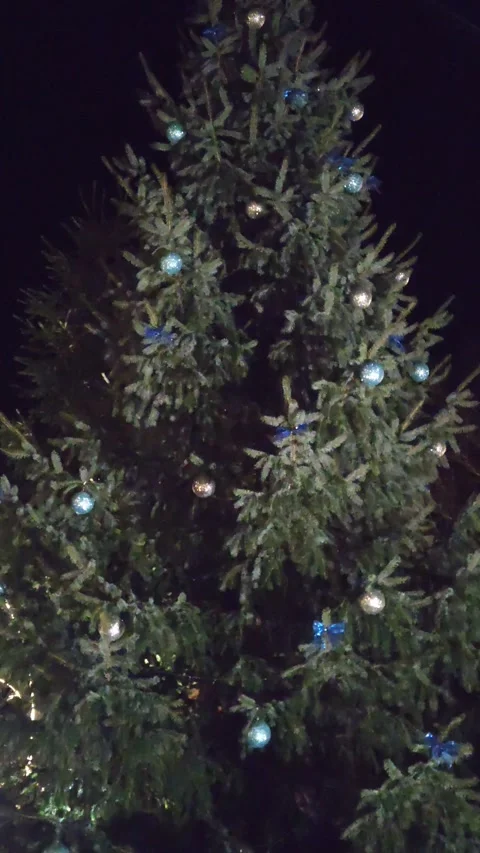 Christmas tree lights twinkle in the evening in the park Stock-Footage 324871798