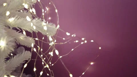 Christmas tree lights on white branches with fairy string lights. Stock Footage 234793671
