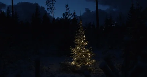 Christmas tree with lights in wild nature in dark snow covered forest at night Stock Footage