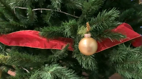 Christmas tree with lightswith red ribbons, and gold ornaments, xmas concept Stock Footage 167137648