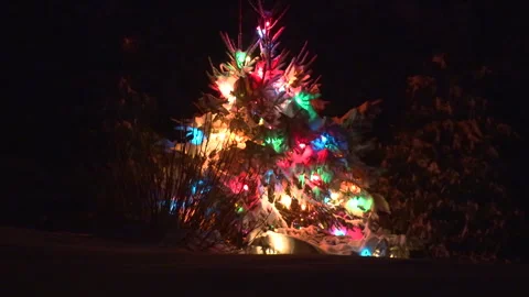 Christmas Tree Lit Up Outdoors in Snow Stock Footage 325153754