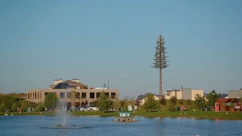 Christmas tree on long bare tree trunk towers over pictorial city park with lake Stock Footage 118064465