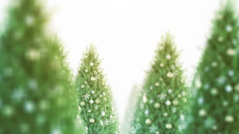 Christmas Tree Loop Stock Footage 254555742