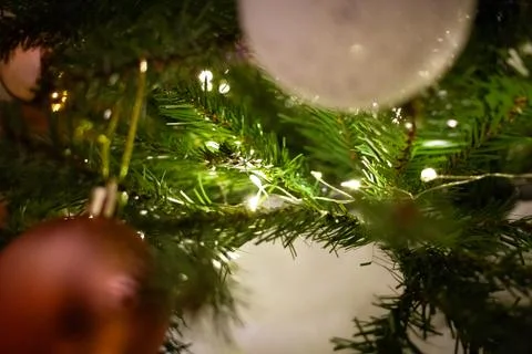 Christmas tree macro with warm LEDs, green pine branches and soft bokeh. Foto stock
