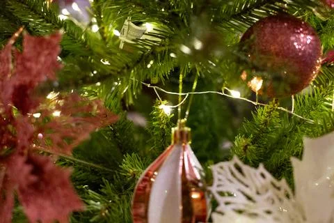 Christmas tree macro with warm LEDs, green pine branches and soft bokeh. Foto stock