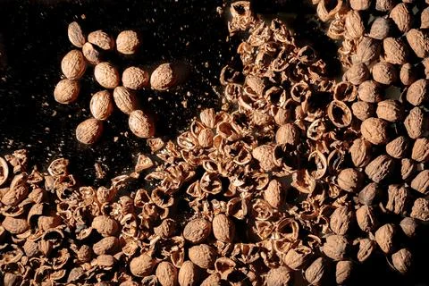 Christmas tree made of empty walnut shell. Children handmade new year craft.  Stock Photos