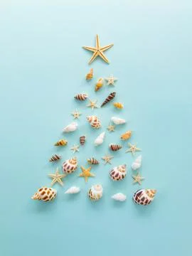 A Christmas tree made of shells and starfish is laid out on a blue background Stock Photos
