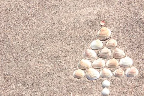 Christmas tree made of shells on dry yellow sand. Southern Hemisphere New Year Stock Photos