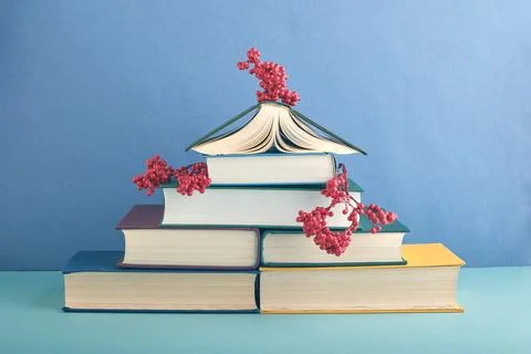A Christmas tree made of smart thick books in multi-colored fabric covers, de Фото