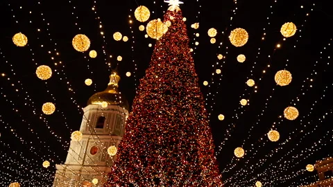 Christmas tree. The main tree of Ukraine. Kiev. Stock Footage 168026265