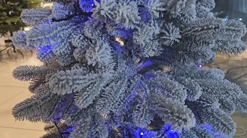 Christmas Tree In The Mall Stock Footage 295144176