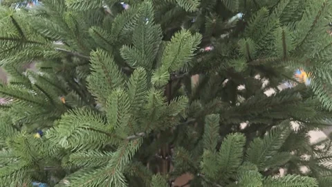 Christmas Tree In The Mall Stock Footage 295144804