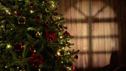 Christmas tree with man shadow in the background Stock Footage 255784902