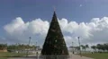 Christmas tree in Miami, Florida 4k or 4k+ Resolution