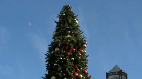 Christmas Tree, Moon, and Lamp Video stock 10682017