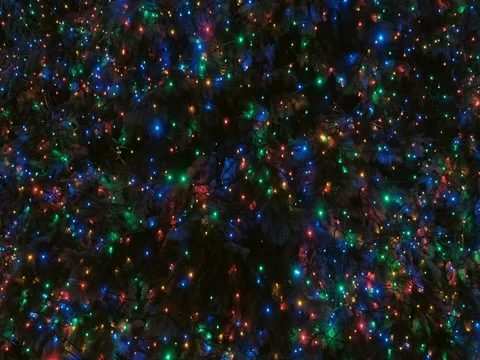 Christmas Tree with Multi Colored Lights at Night. Stock Footage 83421108