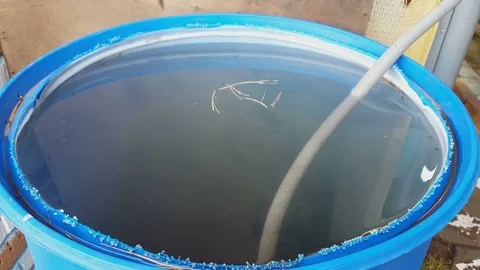 Christmas tree needles fall into a barrel of water Video stock 80419721