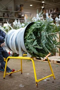Christmas tree netting machine Stock Photos