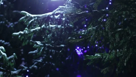 Christmas tree new year Stock-Footage 43995471