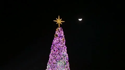 Christmas tree at night on black background Stock-Footage 58001619