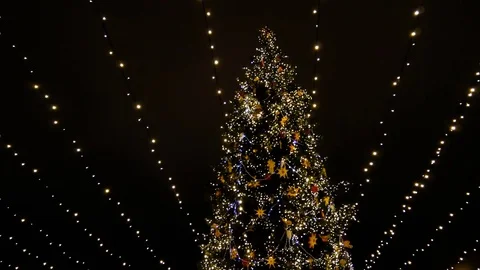 Christmas tree at night. Stock Footage 71258581