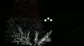 Christmas tree at night (loop) HD Footage