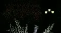 Christmas tree at night (loop) HD Footage